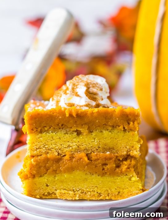 Classic Pumpkin Gooey Butter Cake sliced on a plate with whipped cream