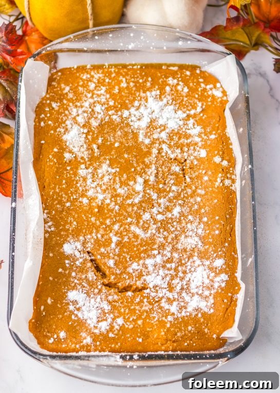 Baked Pumpkin Gooey Butter Cake cooling out of the oven