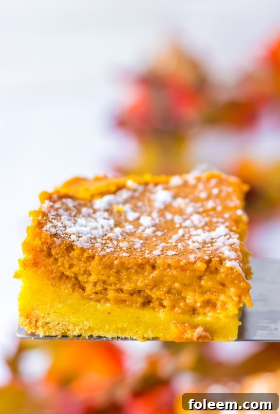 Pumpkin Gooey Butter Cake with powdered sugar and whipped cream