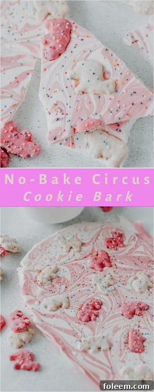 No-Bake Circus Cookie Bark is an easy, festive, and colorful dessert, combining the crunch of circus animal cookies with creamy white chocolate and sprinkles.