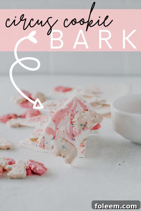 A stunning array of No-Bake Circus Cookie Bark pieces, emphasizing the easy preparation and vibrant, playful aesthetic for any festive occasion.
