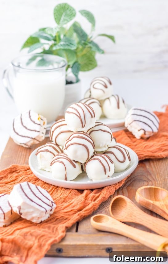Photo of the Zebra Cake Balls recipe plated and ready to be eaten for the party.