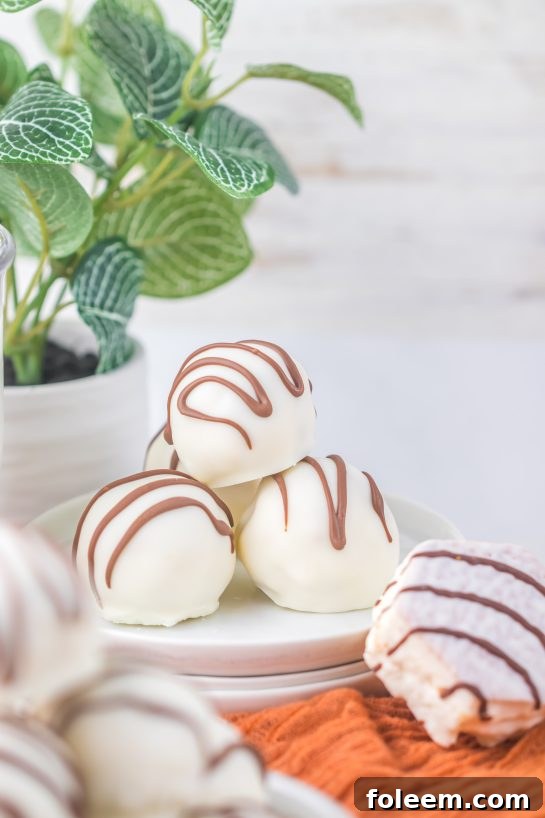 Photo of the Zebra Cake Balls recipe plated and ready to be eaten for the party or potluck.