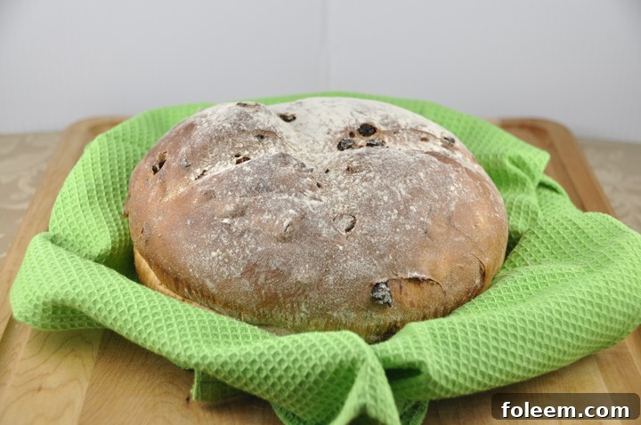 Simple Irish Soda Bread Recipe with Raisins, a moist and flavorful quick bread perfect for celebrating Saint Patrick's Day with family and friends.