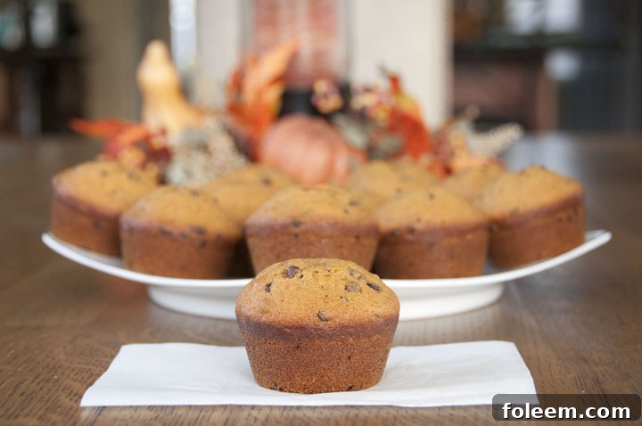 Deliciously moist pumpkin chocolate chip muffins studded with mini chocolate chips on a cooling rack, ready to be enjoyed.