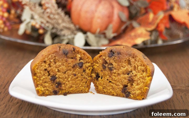 A close-up shot of baked pumpkin chocolate chip muffins, showcasing their golden-brown tops and rich, moist interior.