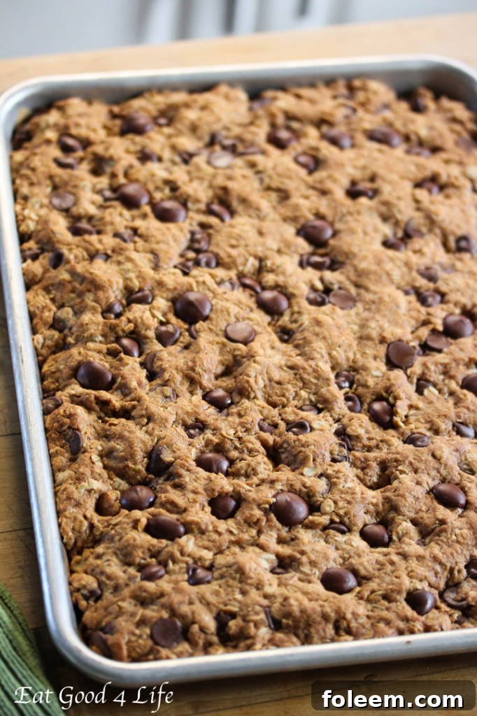 Melt-in-your-mouth, dairy-free Dark Chocolate and Oatmeal Cookie Bars, a healthy and delicious dessert option.