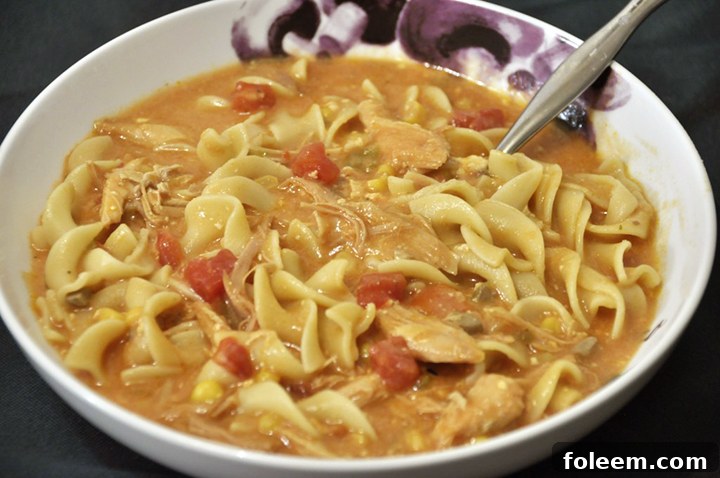 Chicken or Turkey Fiesta Soup recipe has a bit of a kick to it and is a great way to use that leftover turkey from Thanksgiving! Use chicken and make this all year 'round!