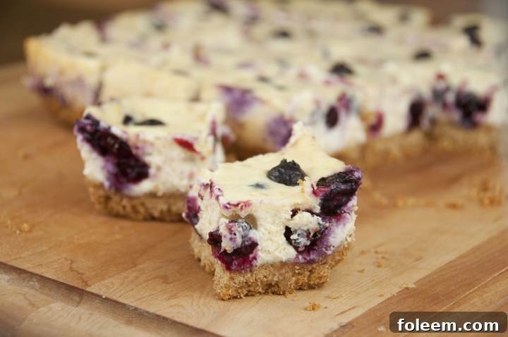 An enticing plate of creamy Lemon Blueberry Cheesecake Bars, ready to be enjoyed as a refreshing dessert.
