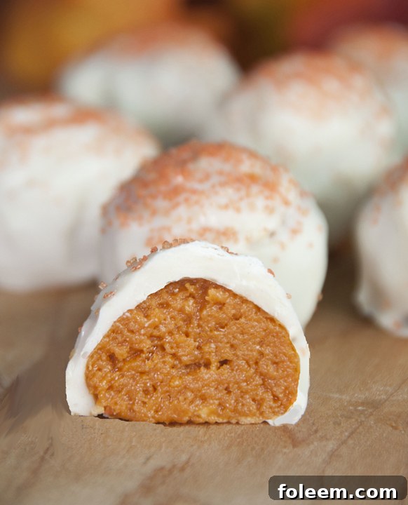 These cute cream cheese and crushed Pumpkin Spice Oreo cookie truffles are the perfect snack for Halloween.