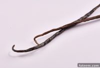 How to Use Vanilla Beans and Why They’re Worth It