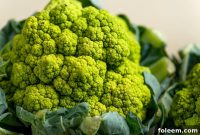 How to Cook Broccoflower: Simple Roasting and Sauté Methods