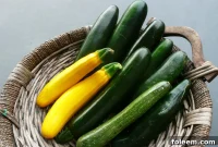 Perfect Zucchini Recipes: Quick Methods for Tender, Flavorful Dishes