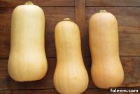 Peeling and Cutting Butternut Squash: Step-by-Step Guide for Perfect Cubes
