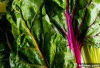 Perfect Swiss Chard Recipes: Simple Ways to Cook and Serve