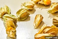 Golden Berries: Nutrition, Uses, Benefits, and How to Eat Them
