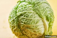 Cabbage Recipes: Simple Techniques for Flavorful Dishes