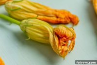 How to Cook Zucchini and Squash Blossoms: Delicious Recipes & Tips