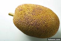 How to Cook Jackfruit: Simple Recipes for Tender, Flavorful Jackfruit