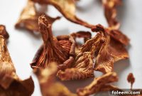 Drying and Dehydrating Summer Fruits and Vegetables: Complete Guide