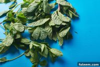 Cooking with Fresh Mint: Flavorful Recipes and Tips