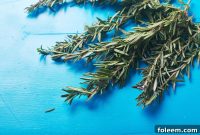 Cooking with Rosemary: Flavorful Recipes and Simple Techniques