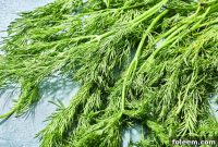 Cooking with Dill: Flavorful Recipes and Tips for Using Fresh Dill