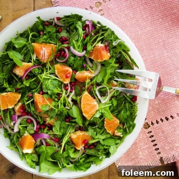 Arugula, Red Onion, Orange, and Pomegranate Seed Salad with Lemon Vinaigrette on plate.
