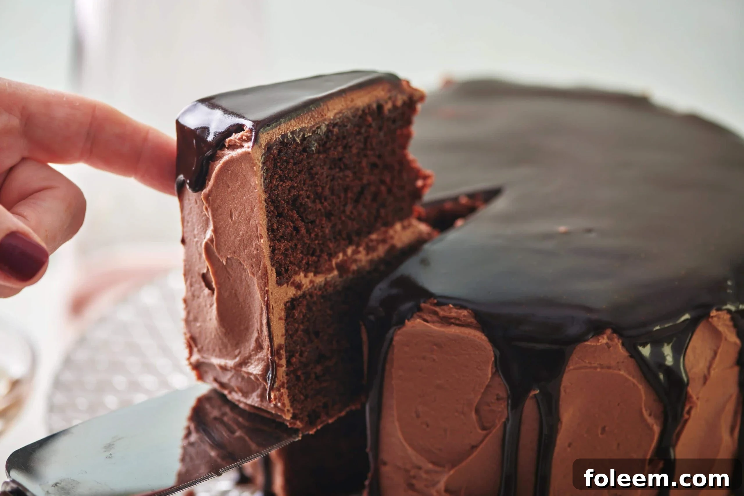 Slice being removed from a Devil's Food Cake.