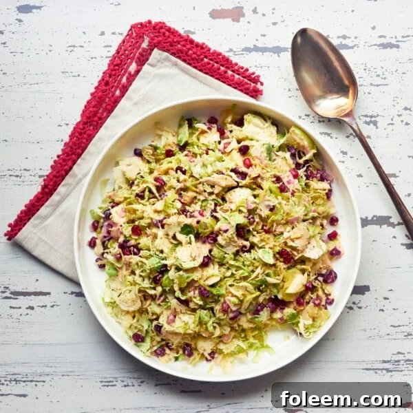 Brussels Sprouts, Apple, and Pomegranate Slaw Salad