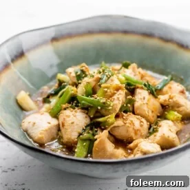 Stir Fried Chicken with Scallions