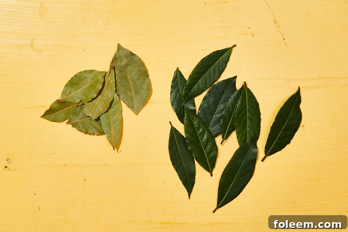 Fresh and dried bay leaves on yellow table.
