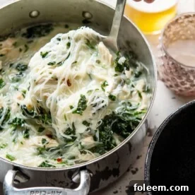 Thai Chicken Noodle Soup