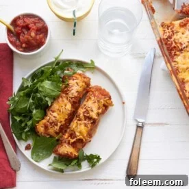 Spicy Chicken and Black Bean Enchiladas