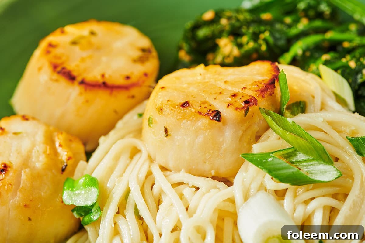 Miso-glazed scallops plated on bed of noodles.