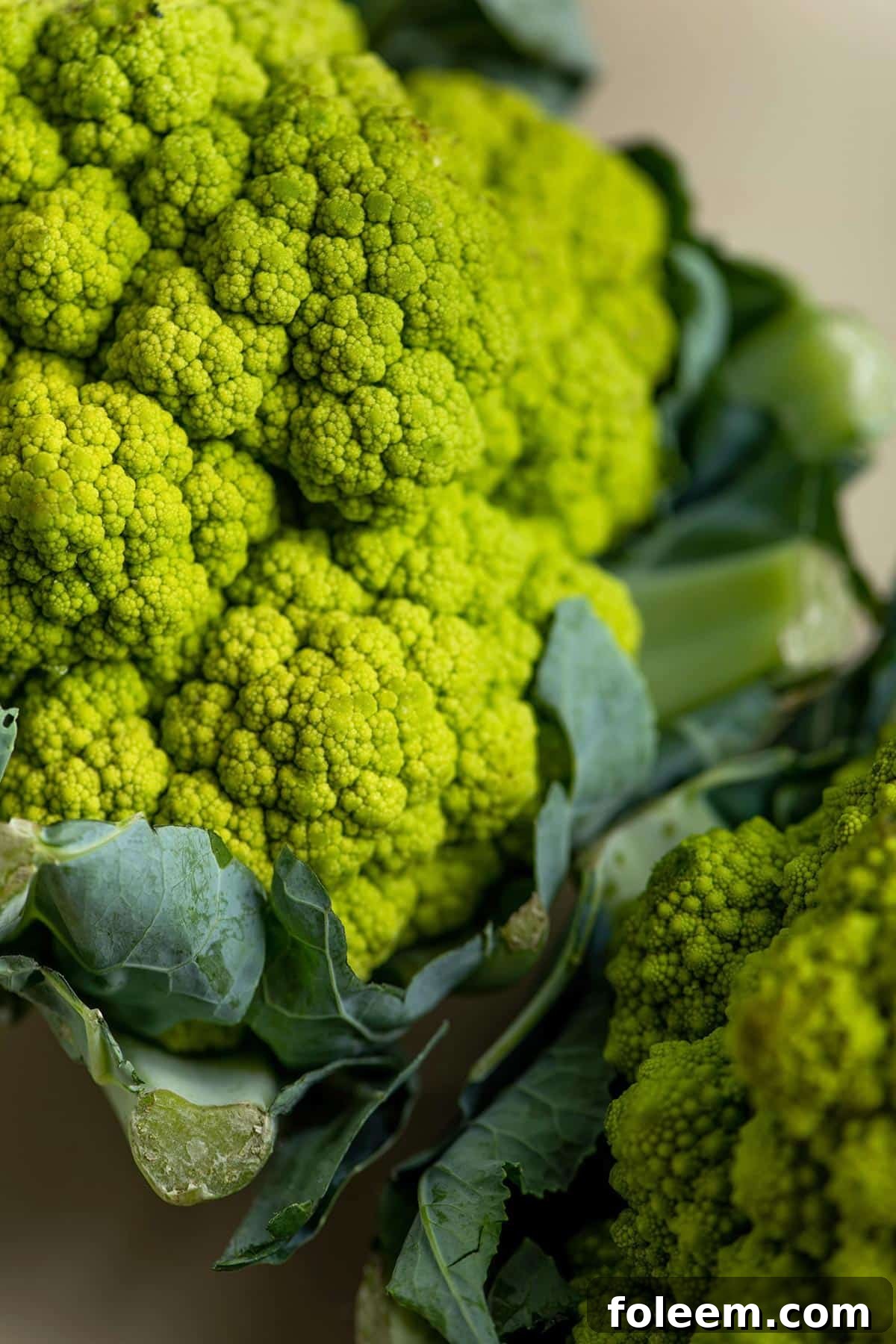 Head of fresh cauliflower-like broccoflower on cutting board.