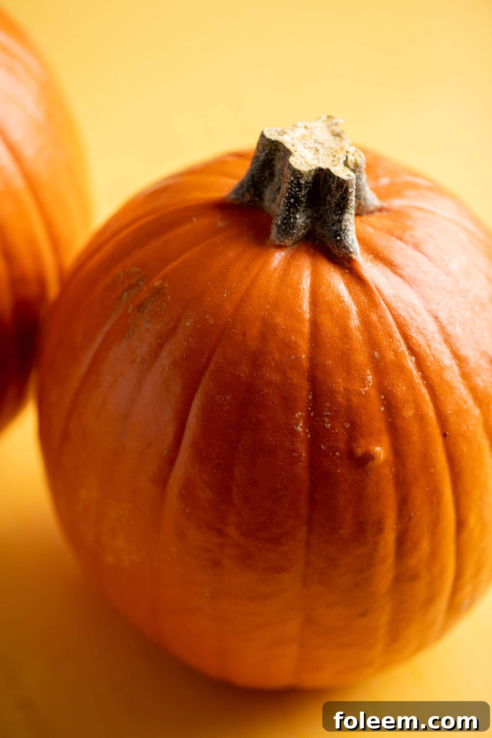 Close up of a pumpkin.