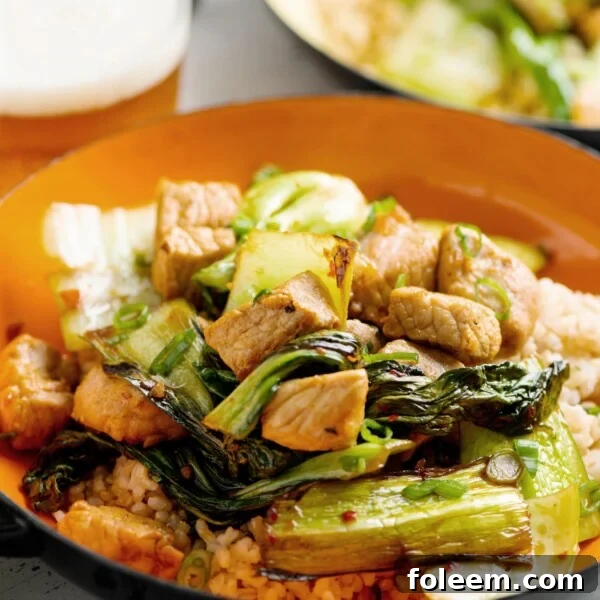 Pork and Bok Choy Stir Fry