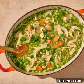 Leftover turkey soup in large bowl on table.