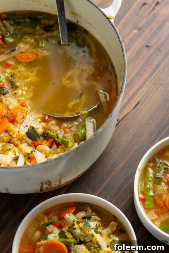 Simple Vegetable Soup