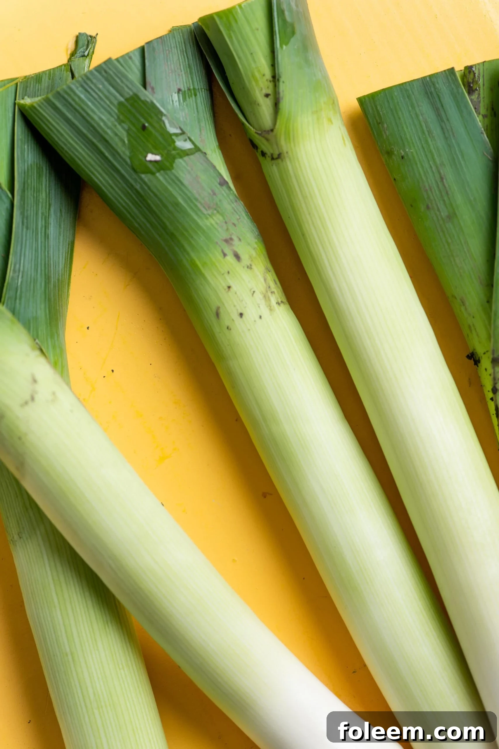 Fresh leeks on yellow surface.