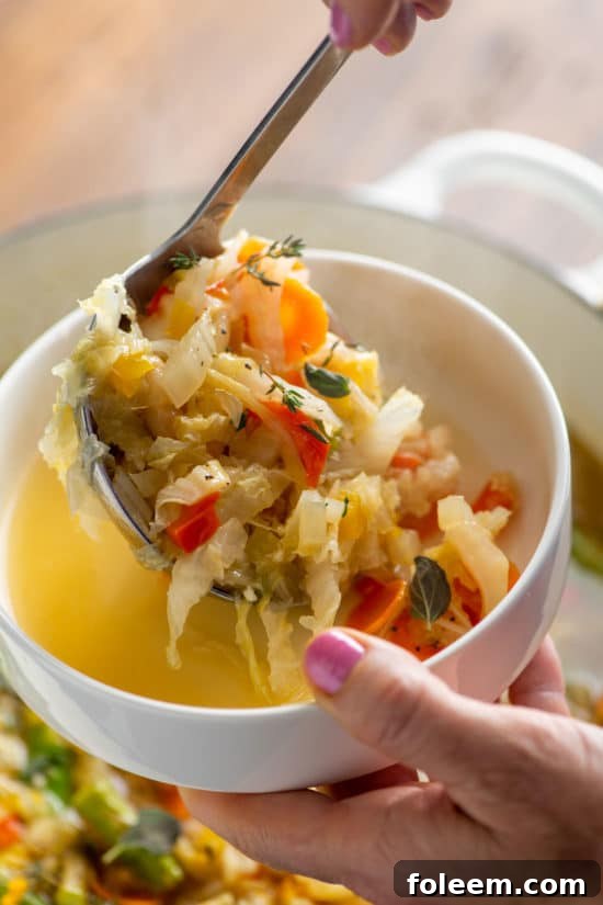 Simple Vegetable Soup