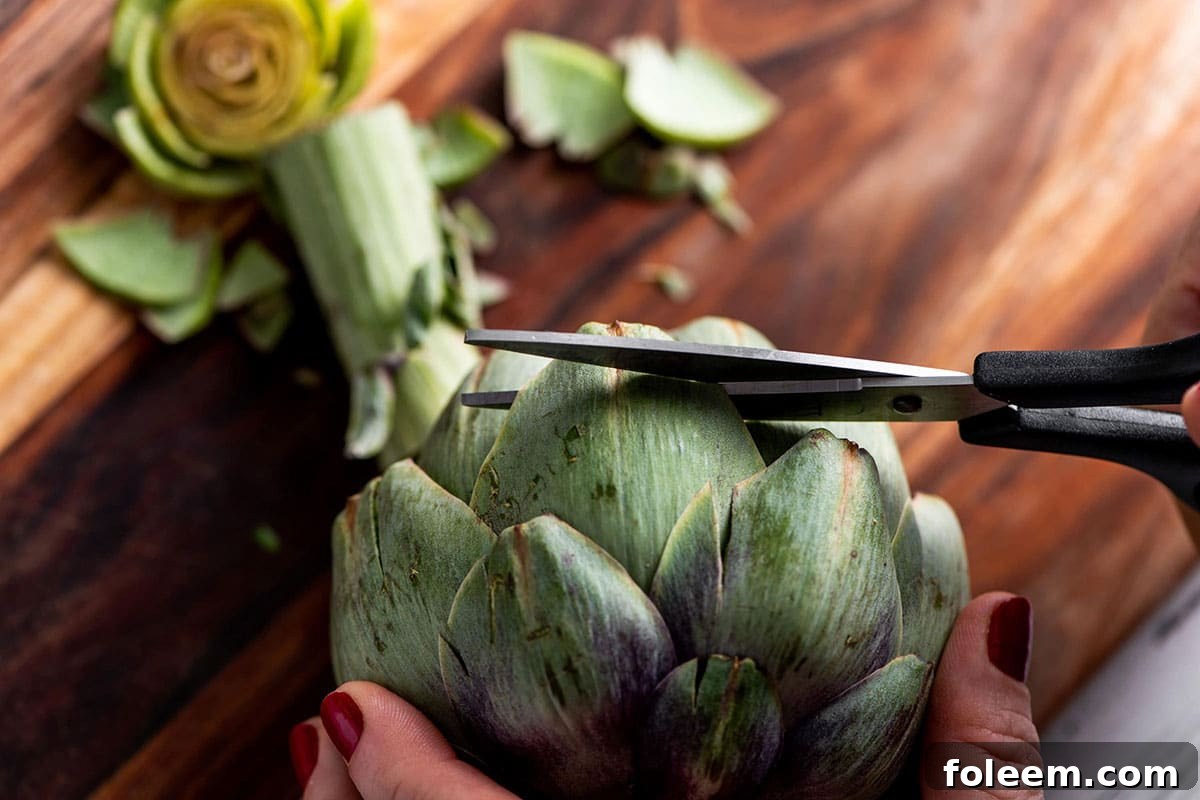 Trimming artichoke leaves with scissors.