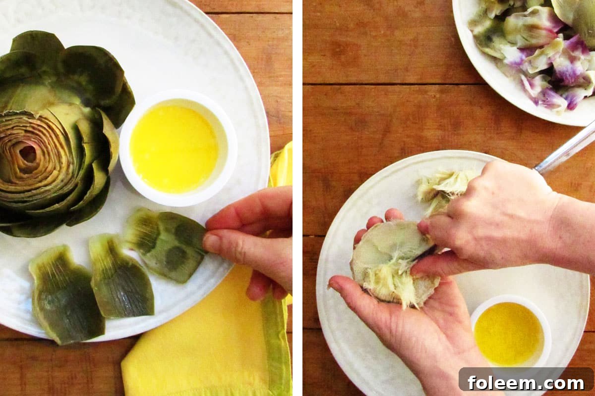 Eating leaves and removing choke of steamed artichoke.