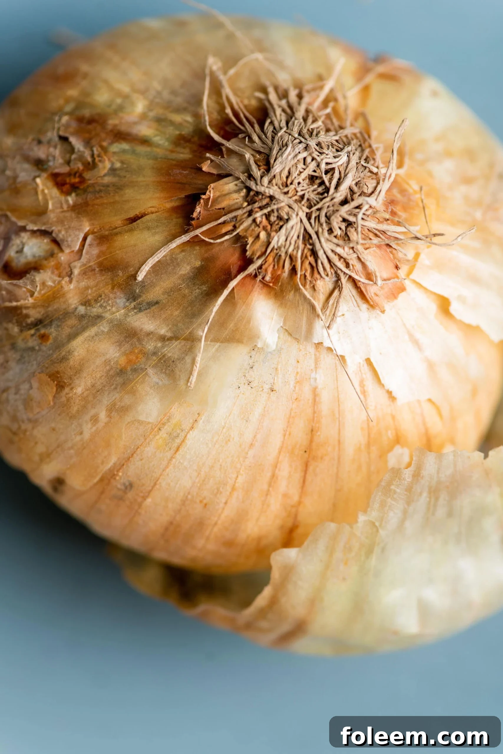 Vidalia Onion with the skin starting to peel off.
