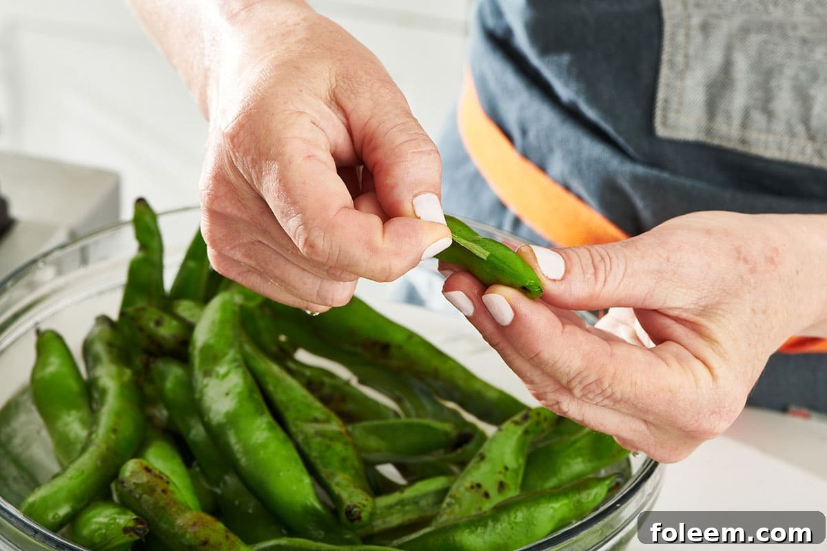 Preparing fresh fava beans.