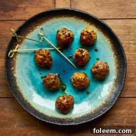 Japanese Meatballs