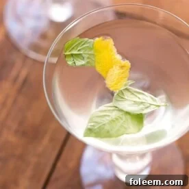 Basil Ginger Lemon Saketini