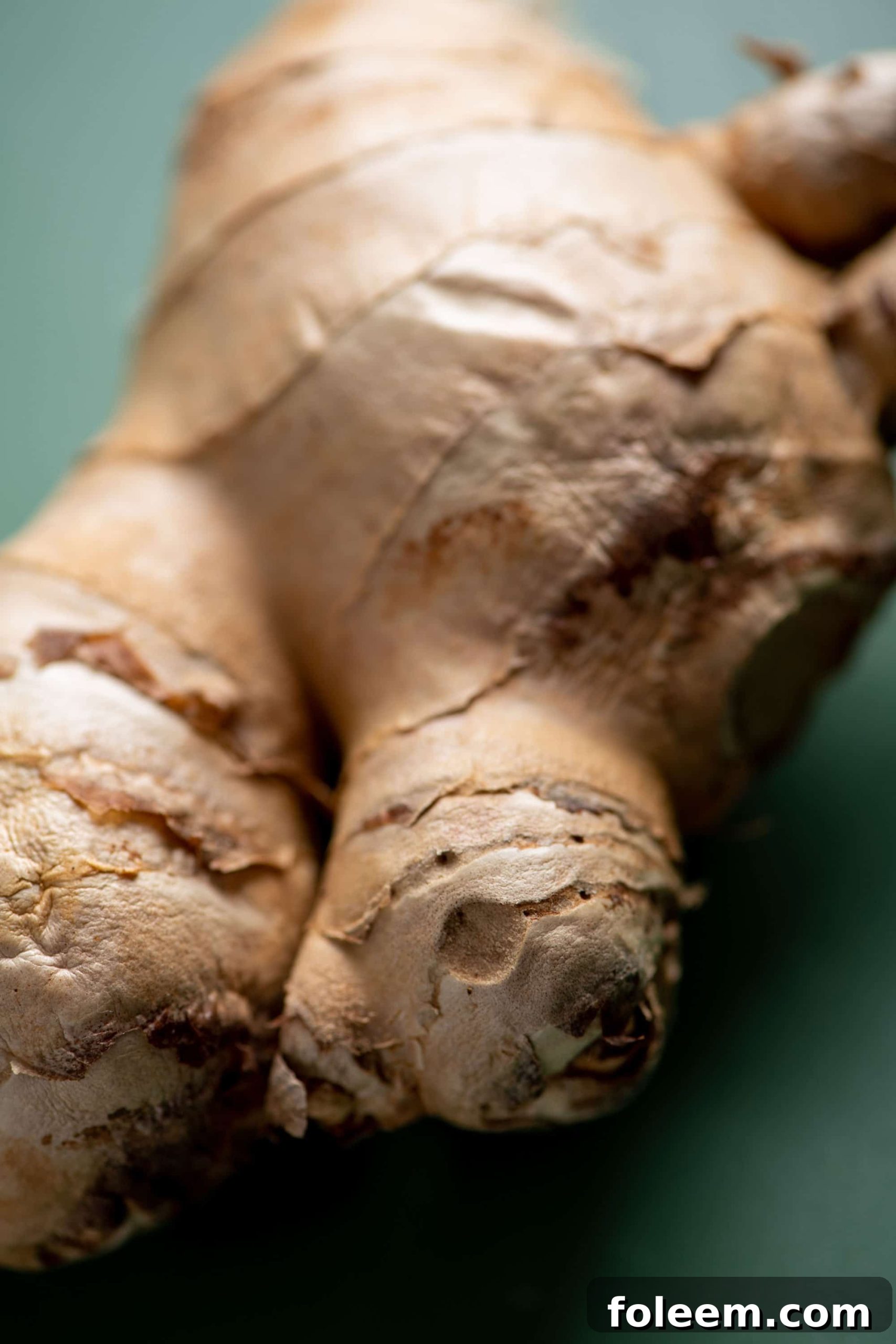 Fresh ginger root on green table.
