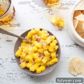Citrusy Mango Ginger Salsa